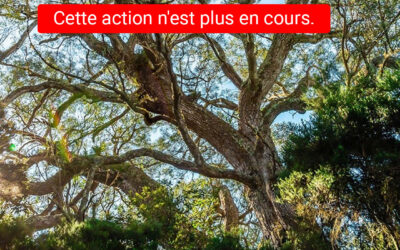 Sauvegarde de la Forêt Avril