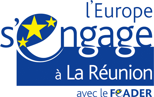 LOGO_EUROPE_ENGAGE_REUNION_COULEUR_FEADER