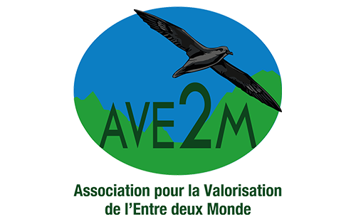AVE2M