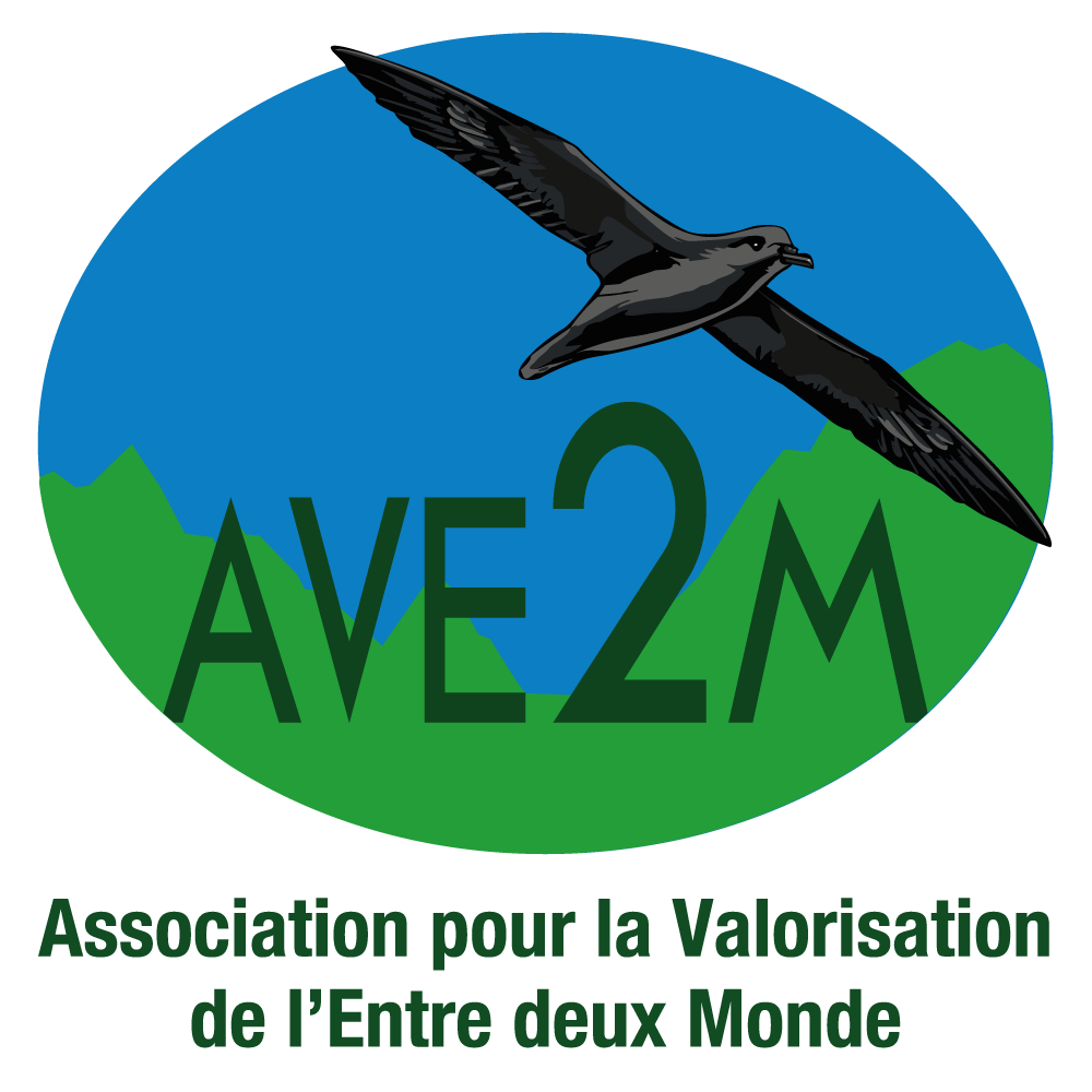 Logo-AVE2M