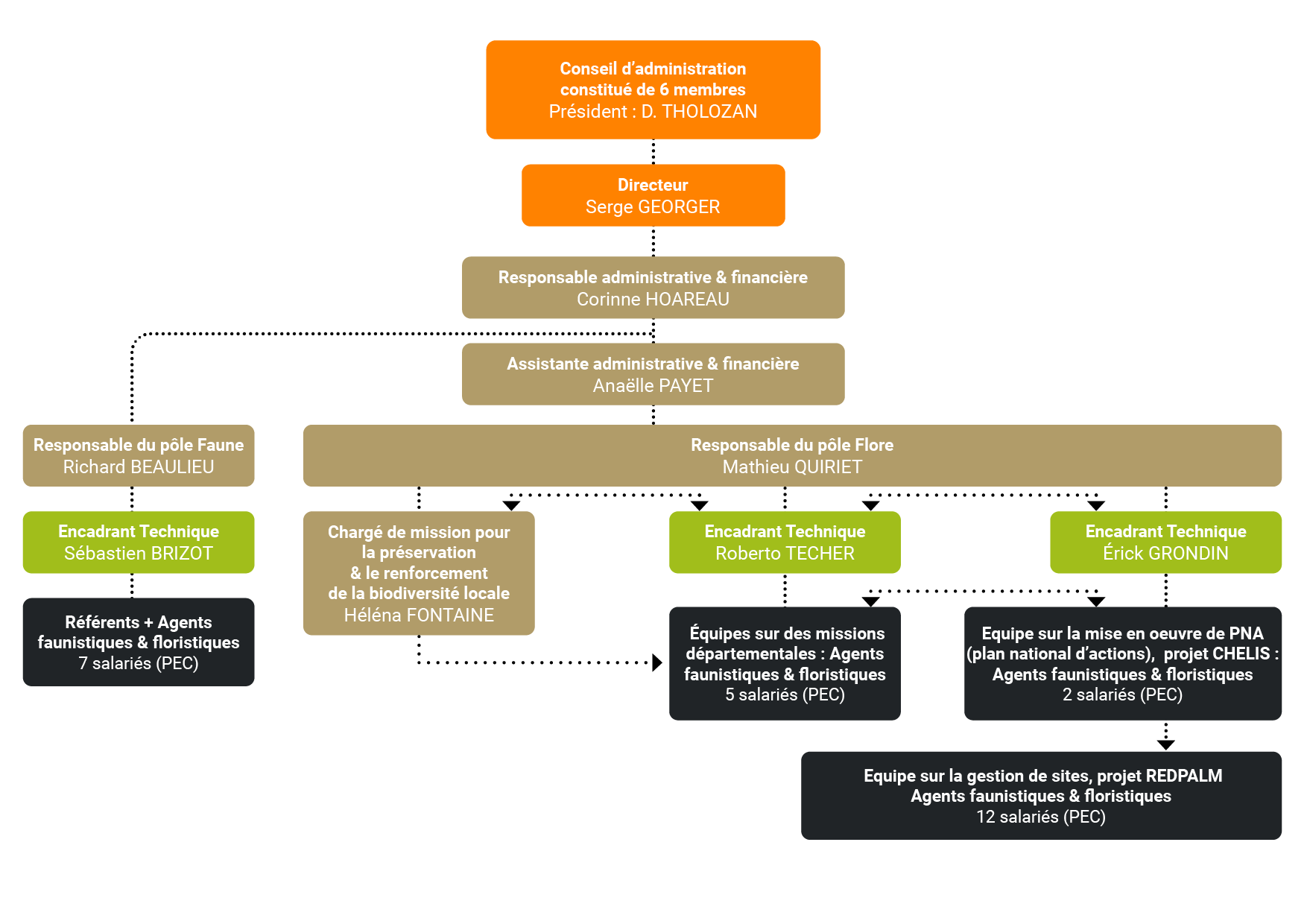 Organigramme